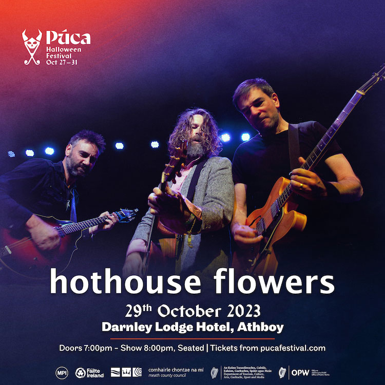hothouse flowers at the Darnley Lodge Hotel, Athboy, Meath
